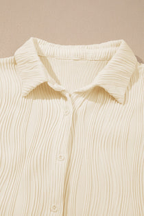 Textured Collared Neck Long Sleeve Shirt